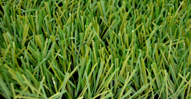 Искусственный газон Сагама Профилд 40 мм